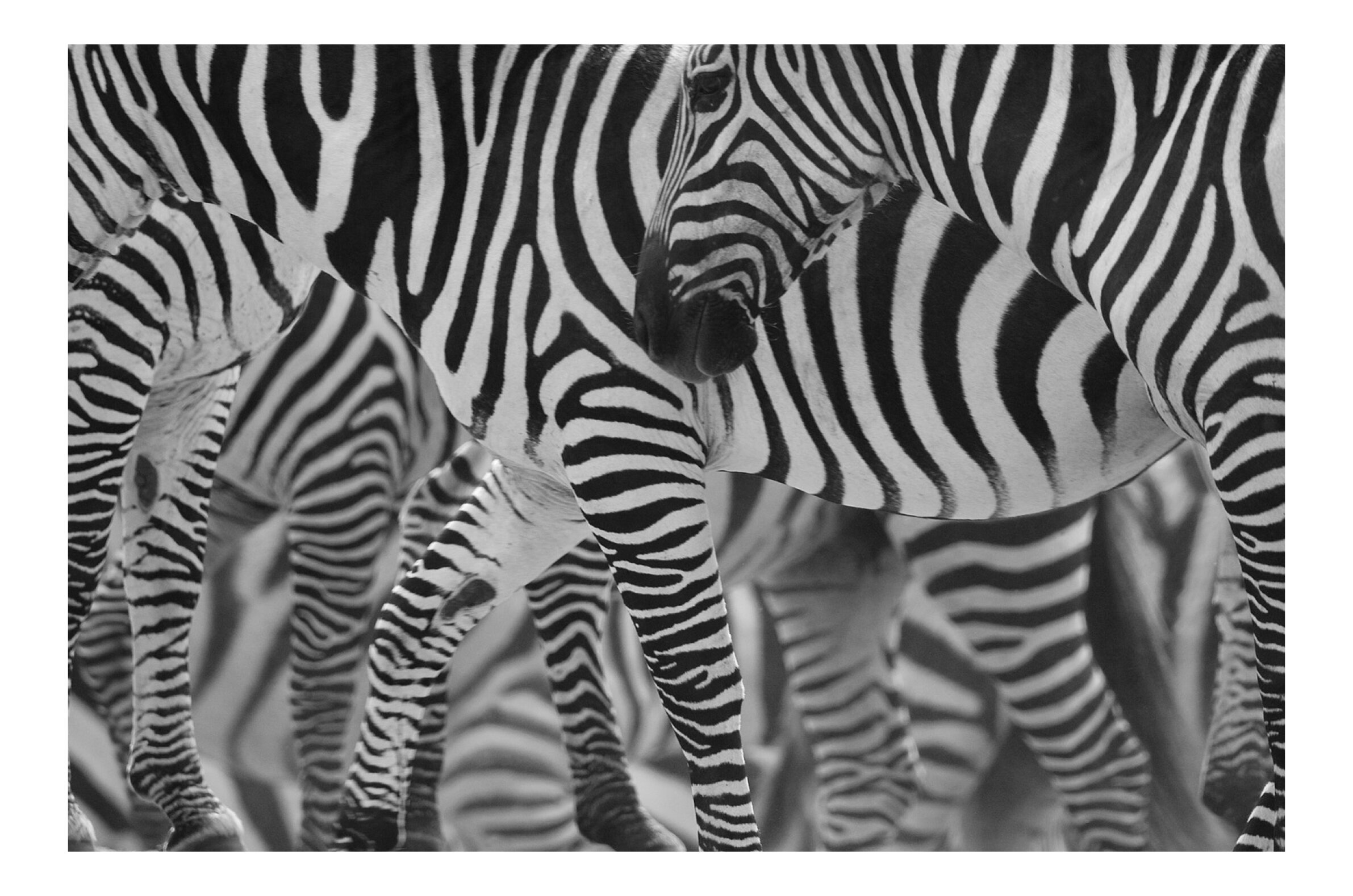 David Gulden -The Centre Cannot Hold - The Eye of Photography Magazine